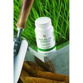 Fields of Greens - (Emagreça até 7kg por mês)